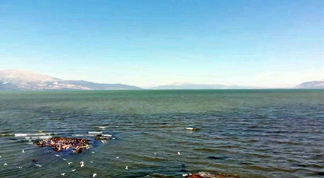 Eğirdir Gölü'nün bölünmesine 1 kilometre kaldı! Binlerce ölü su salyangozu karaya vurdu 12